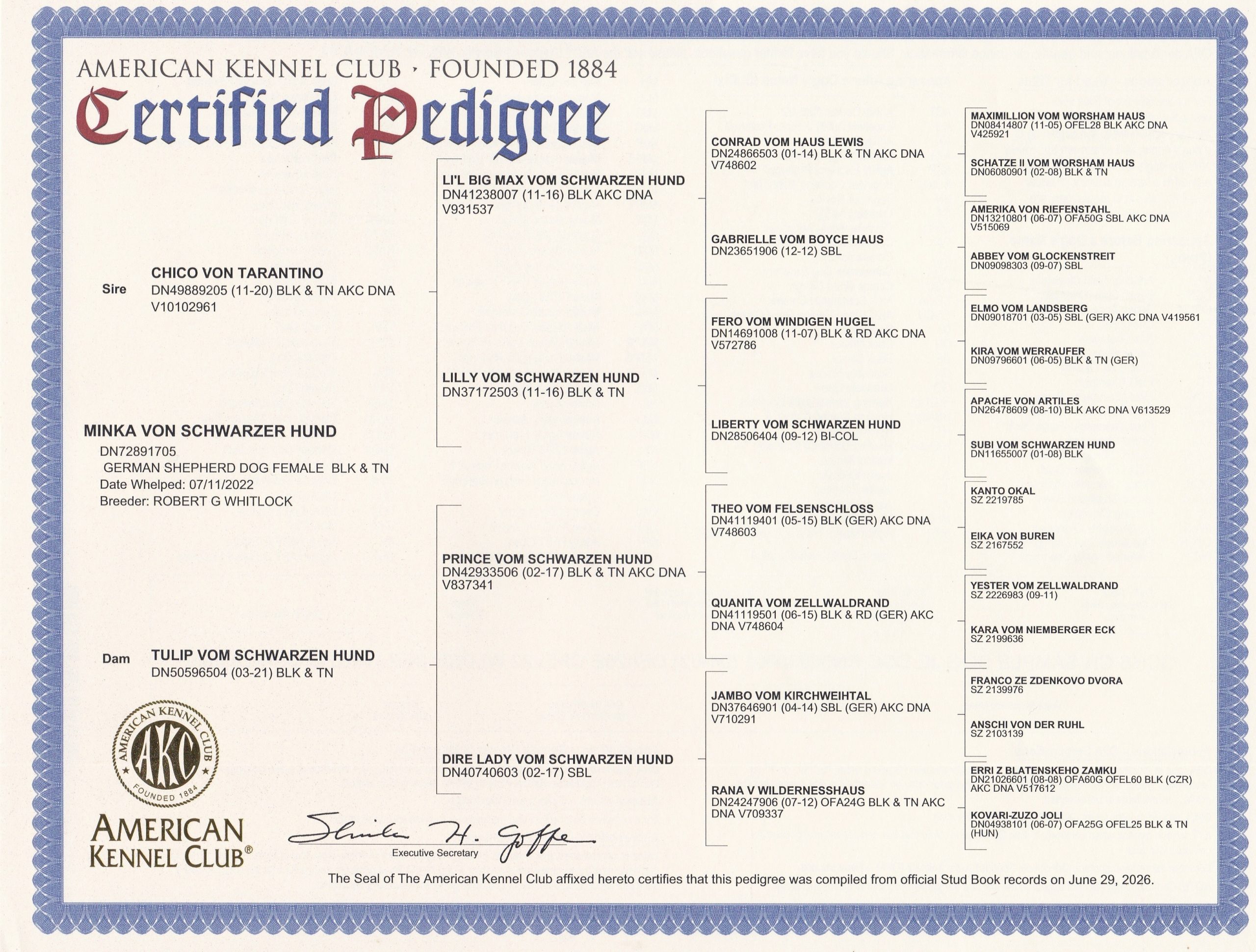 AKC pedigree for Minka Von Schwarzer Hund